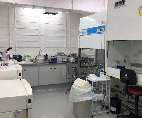 Laboratório de Cultura CTs, iPSCs, organóides e Encapsulamento celular